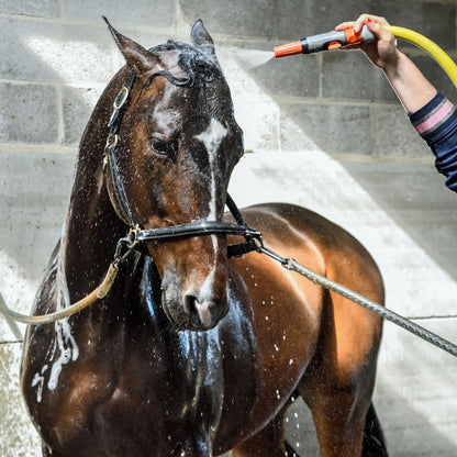 Stallset: Revolutionäres Wasseraufbereitungssystem für Pferdebesitzer